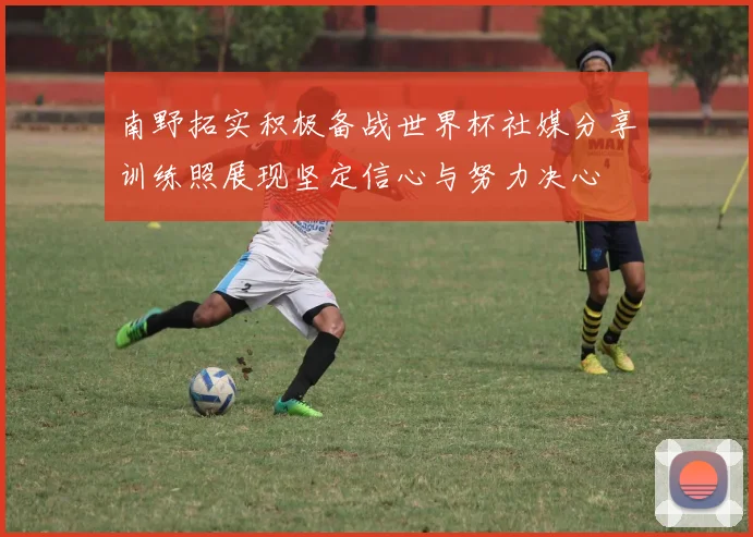 南野拓实积极备战世界杯社媒分享训练照展现坚定信心与努力决心