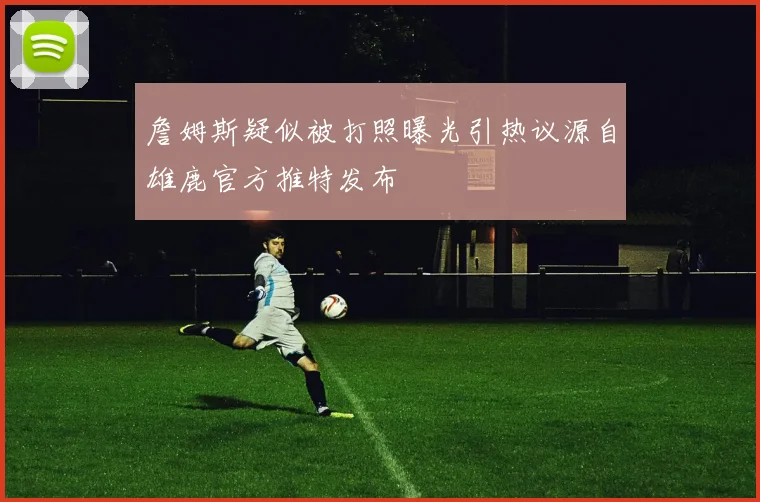 詹姆斯疑似被打照曝光引热议源自雄鹿官方推特发布